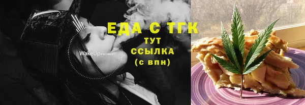 дживик Бородино