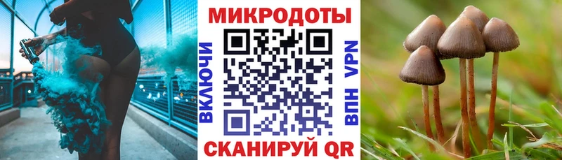 Псилоцибиновые грибы Cubensis  даркнет как зайти  Прокопьевск 